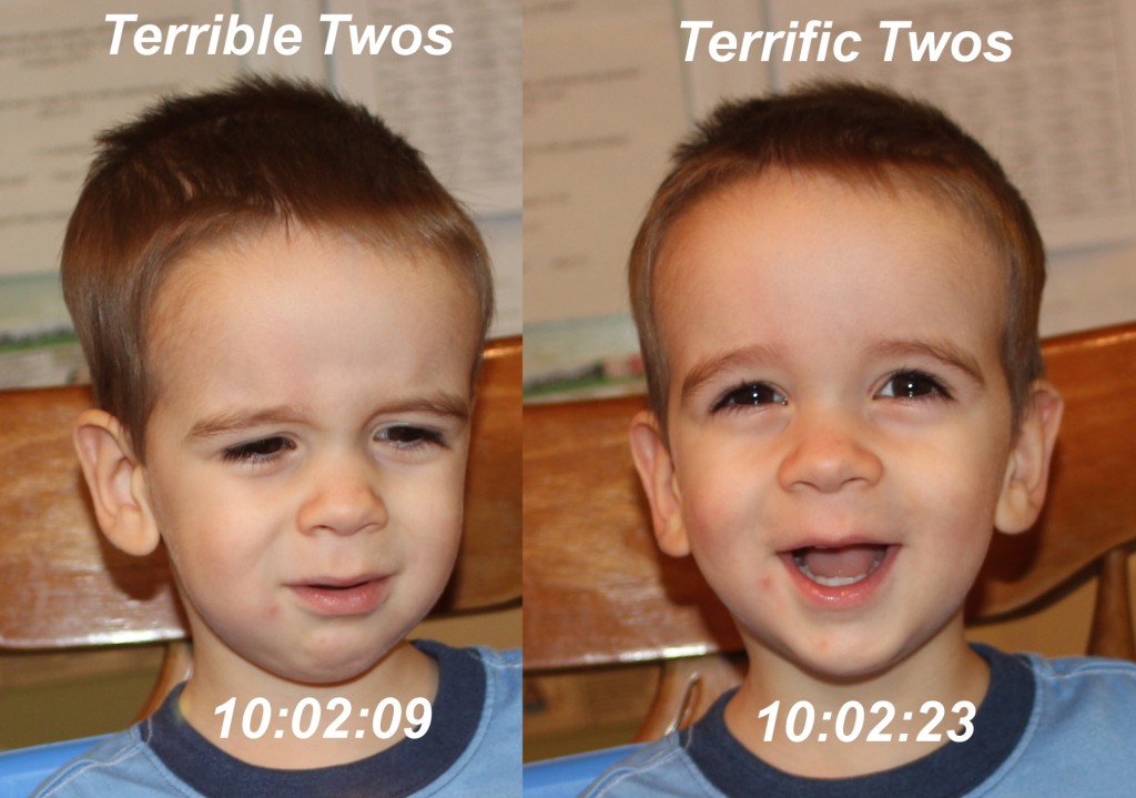 Terrible Twos vs Terrific Twos